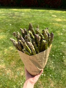 Asperges-traiteur-oise