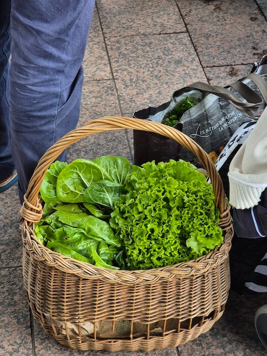 salade-marche-guinguette-traiteur-oise